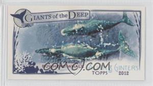 2012 Topps Allen & Ginter's - Giants of the Deep Minis #GD-6 - Bowhead Whale