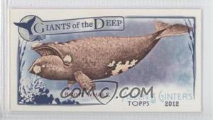 2012 Topps Allen & Ginter's - Giants of the Deep Minis #GD-7 - Right Whale