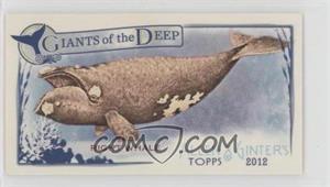 2012 Topps Allen & Ginter's - Giants of the Deep Minis #GD-7 - Right Whale