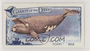 2012 Topps Allen & Ginter's - Giants of the Deep Minis #GD-7 - Right Whale