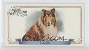 2012 Topps Allen & Ginter's - Man's Best Friend Minis #MBF-13 - Collie