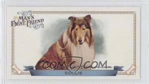 2012 Topps Allen & Ginter's - Man's Best Friend Minis #MBF-13 - Collie