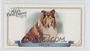 2012 Topps Allen & Ginter's - Man's Best Friend Minis #MBF-13 - Collie