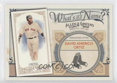 2012 Topps Allen & Ginter's - What's in a Name? #WIN64 - David Ortiz