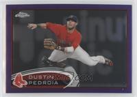 Dustin Pedroia