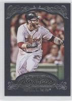 Dustin Pedroia #/599