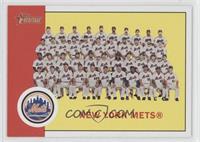 New York Mets Team