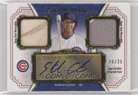 Starlin Castro #/25