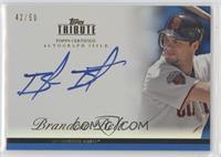 Brandon Belt #/50