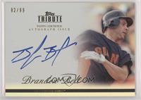 Brandon Belt #/99