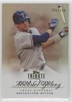 Michael Young [EX to NM] #/299