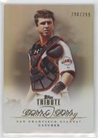 Buster Posey #/299