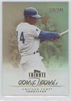 Ernie Banks #/299