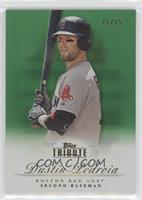 Dustin Pedroia #/75