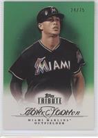 Mike Stanton #/75