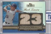 Mark Teixeira [Uncirculated] #/50