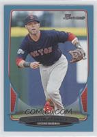 Dustin Pedroia #/500