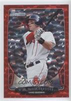 Will Middlebrooks #/25