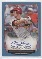 Carson Kelly #/500