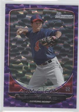 2013 Bowman - Prospects - Purple Ice #BP101 - Ronny Rodriguez /10