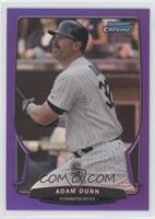 Adam Dunn #/199