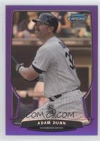 Adam Dunn #/199