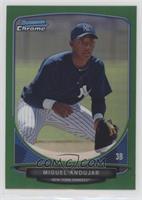 Miguel Andujar