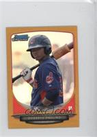 Dorssys Paulino #/50