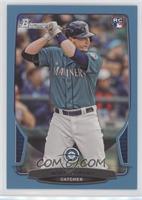 Mike Zunino #/500