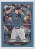 Mike Zunino #/500