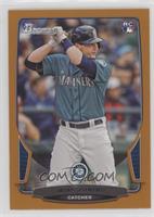 Mike Zunino #/250