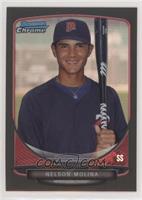 Nelson Molina [EX to NM] #/35