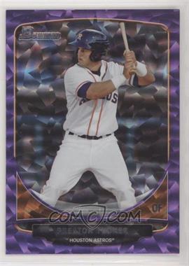 2013 Bowman Draft Picks & Prospects - Top Prospects - Purple Ice #TP-11 - Preston Tucker /10