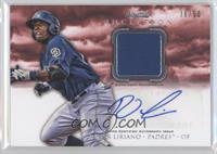 Rymer Liriano #/50