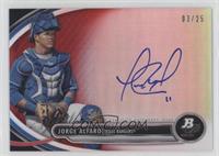 Jorge Alfaro #/25