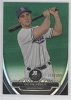 Austin Hedges #/399