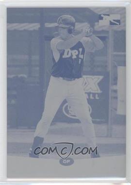 2013 Leaf DPL - [Base] - Printing Plate Cyan #4 - Lewin Diaz /1