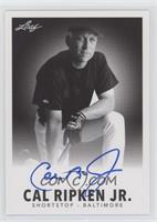 Cal Ripken Jr.