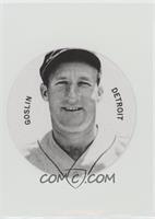 Goose Goslin