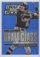 Austin Meadows #/75