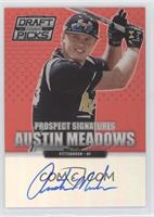 Austin Meadows #/100