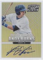 Andy Burns