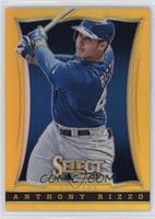 Anthony Rizzo #/25