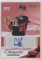 Cavan Biggio #/49