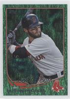 Dustin Pedroia