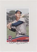 Ted Williams