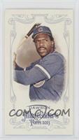 Andre Dawson