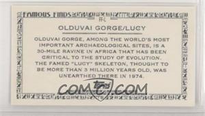 Olduvai-GorgeLucy.jpg?id=00ef6845-e6d8-4cb4-91a1-746113c317c9&size=original&side=back&.jpg