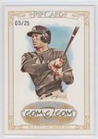 Giancarlo Stanton #/25