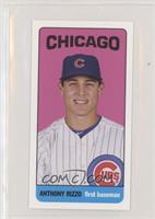 Anthony Rizzo